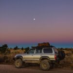 Emuwings and views